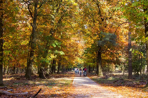 Ontdekkingstochten door diverse landschappen
